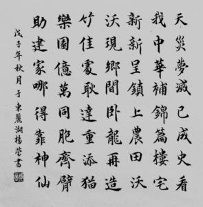 image005