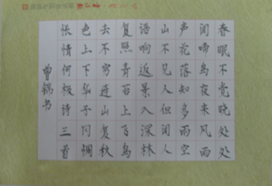 image006