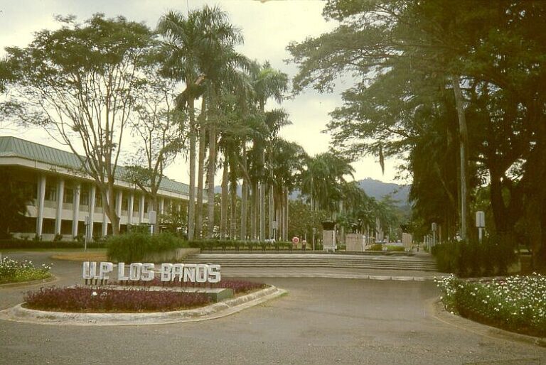 uplosbanos3
