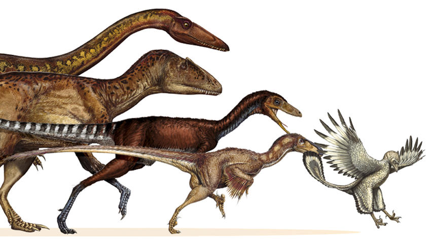 dino