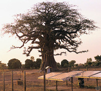 image004