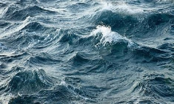 image009