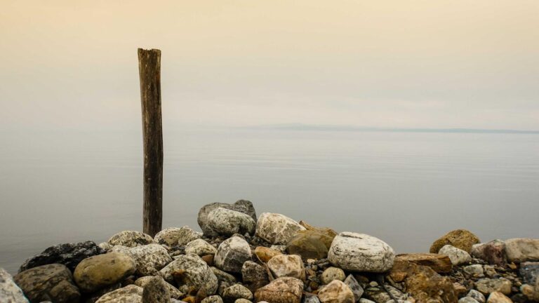 Photo-Enhancement Apps Should Preserve the Original